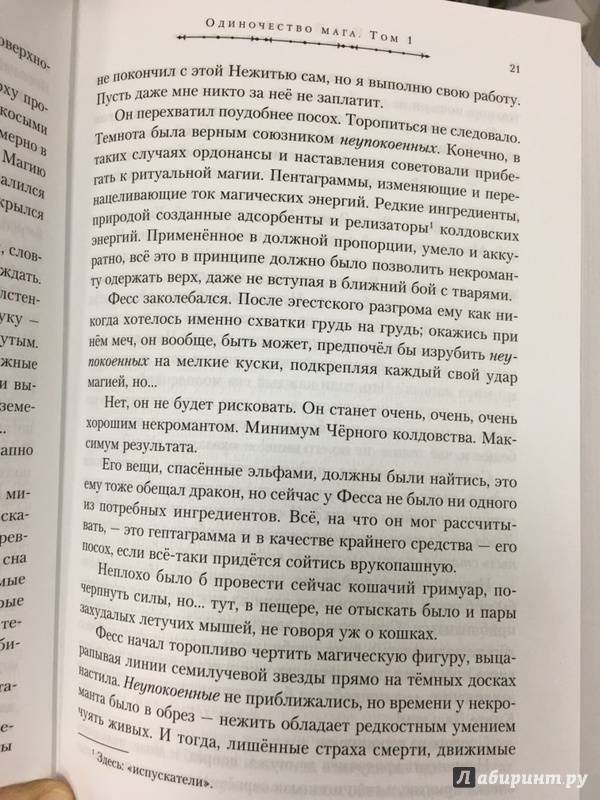 Иллюстрация 35 из 40 для Одиночество мага - Ник Перумов | Лабиринт - книги. Источник: Lina