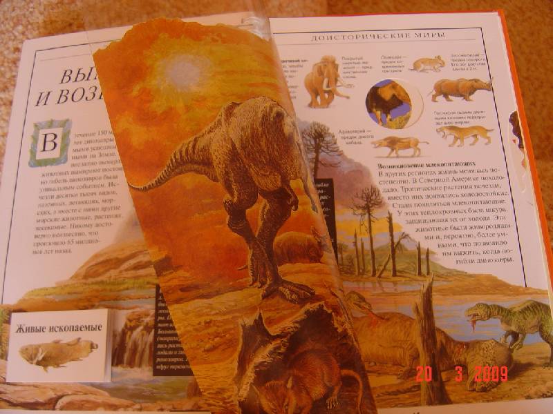 Иллюстрация 6 из 13 для Дискавери: Доисторические миры - Диксон, Чарман | Лабиринт - книги. Источник: Анна К.