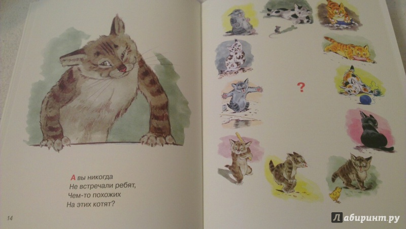 Иллюстрация 51 из 64 для Посмотрите какие котята - Владимир Матвеев | Лабиринт - книги. Источник: Кузнецова  Елена