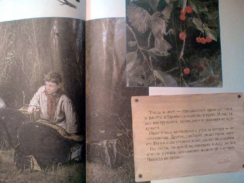 Иллюстрация 94 из 94 для Прогулки по лесу - Сергей Махотин | Лабиринт - книги. Источник: Спанч Боб