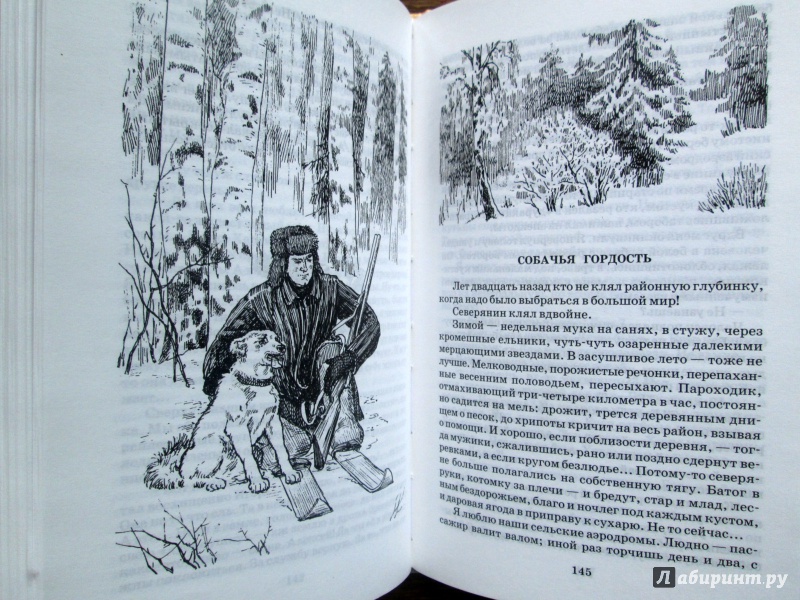 Краткое содержание рассказа абрамова. Иллюстрация к рассказу Абрамова собачья гордость. Рассказ собачья гордость. Собачья гордость книга.