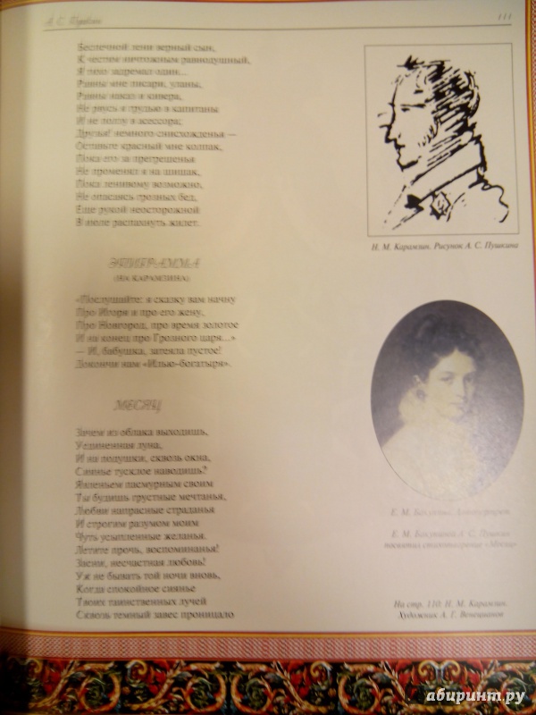 Иллюстрация 6 из 8 для Избранное - Александр Пушкин | Лабиринт - книги. Источник: zabluTshaya