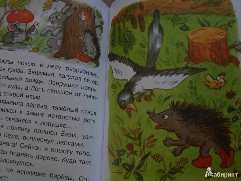 Иллюстрация 59 из 149 для Все сказки и картинки - Владимир Сутеев | Лабиринт - книги. Источник: Лабиринт