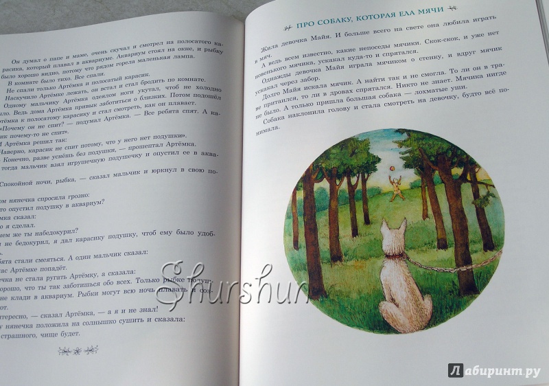 Иллюстрация 22 из 80 для Хомячок на прогулке - Арсений Седугин | Лабиринт - книги. Источник: Shurshun