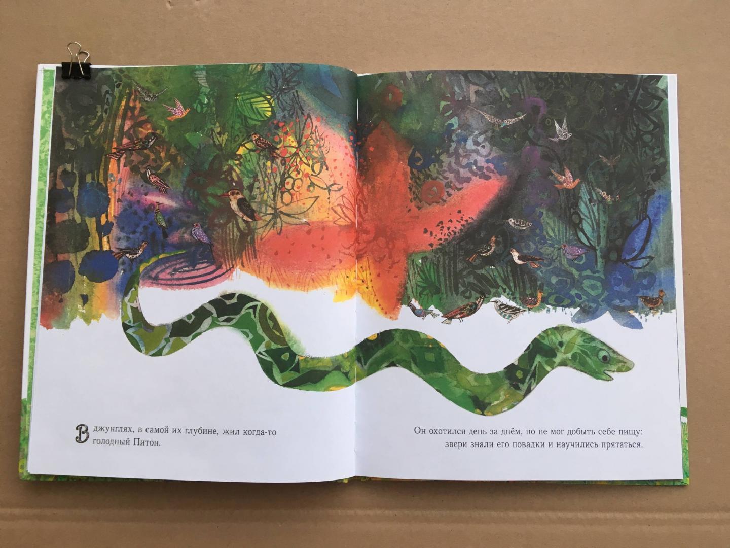Иллюстрация 28 из 35 для Праздник в джунглях - Брайан Уайлдсмит | Лабиринт - книги. Источник: Ekatterina
