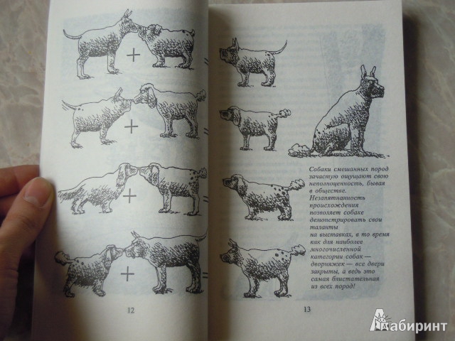 Иллюстрация 13 из 20 для Как жить с собакой-невротиком - Стивен Бейкер | Лабиринт - книги. Источник: Iwolga