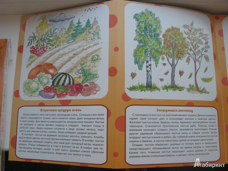 Иллюстрация 2 из 9 для Осень (ширмочка) - Вера Шипунова | Лабиринт - книги. Источник: Изобретатель Пин