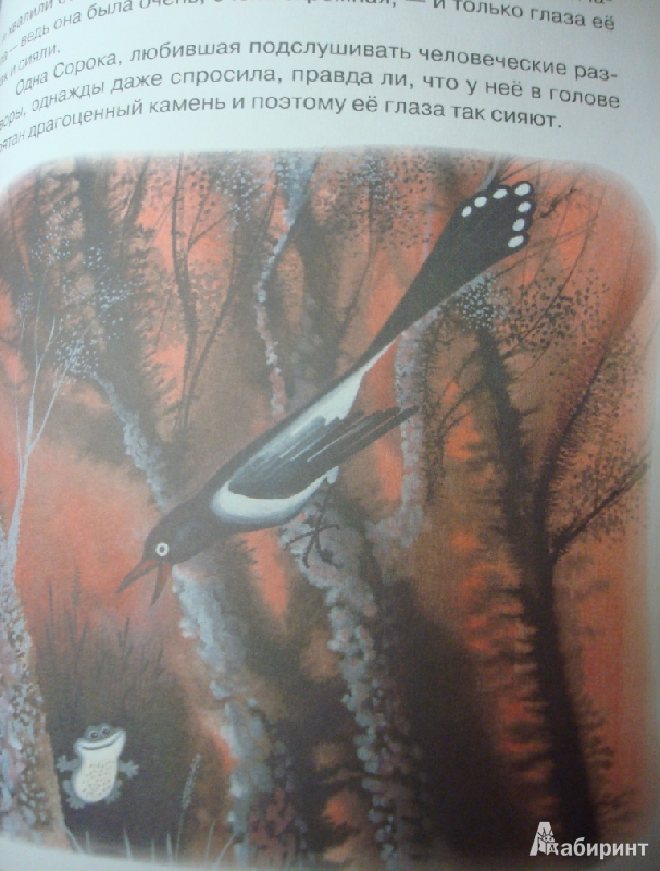 Иллюстрация 16 из 82 для Русачок - Борис Заходер | Лабиринт - книги. Источник: marpol