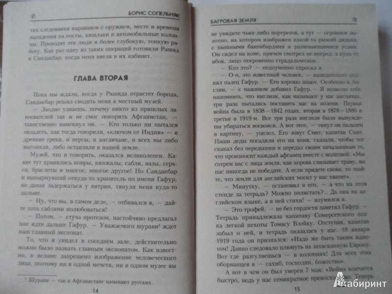 Иллюстрация 8 из 32 для Багровая земля - Борис Сопельняк | Лабиринт - книги. Источник: Vito Mannone