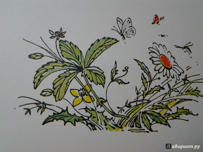 Иллюстрация 38 из 62 для Желтый, белый, лиловый - Нина Павлова | Лабиринт - книги. Источник: Olga