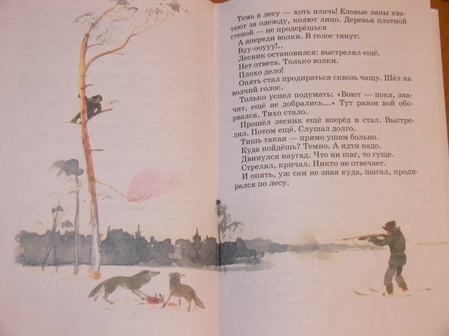 Иллюстрация 25 из 25 для Синичкин календарь: Рассказы - Виталий Бианки | Лабиринт - книги. Источник: Irbis