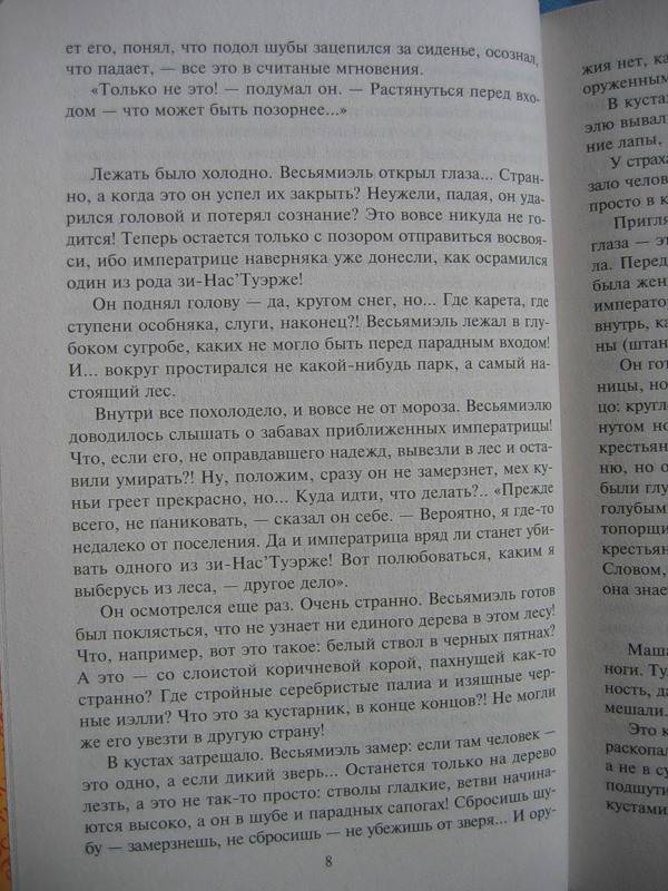 Иллюстрация 11 из 13 для Пятый постулат - Измайлова, Орлова | Лабиринт - книги. Источник: Костина  Светлана Олеговна