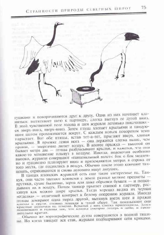 Иллюстрация 4 из 6 для Причуды природы - Игорь Акимушкин | Лабиринт - книги. Источник: tsylpyry