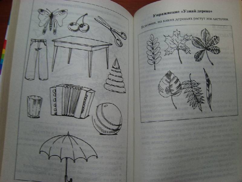 Иллюстрация 20 из 33 для Развиваем память - Александра Бубнова | Лабиринт - книги. Источник: Константин Александрович