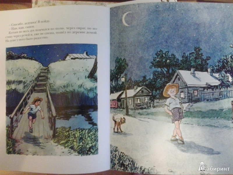 Иллюстрация 30 из 43 для Огурцы - Николай Носов | Лабиринт - книги. Источник: Dogdik