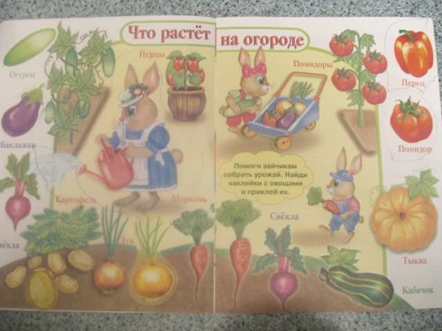 Иллюстрация 1 из 7 для Овощи и фрукты | Лабиринт - книги. Источник: Черкасова  Анна Валерьевна