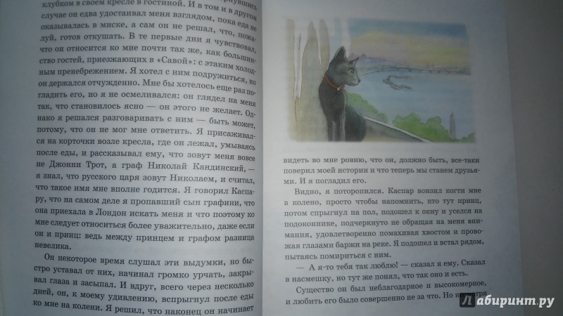Иллюстрация 6 из 30 для Каспар, принц котов - Майкл Морпурго | Лабиринт - книги. Источник: Yulia Burova