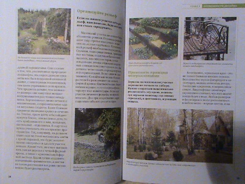 Иллюстрация 4 из 6 для Дизайн маленького сада - Ольга Воронова | Лабиринт - книги. Источник: Обычная москвичка