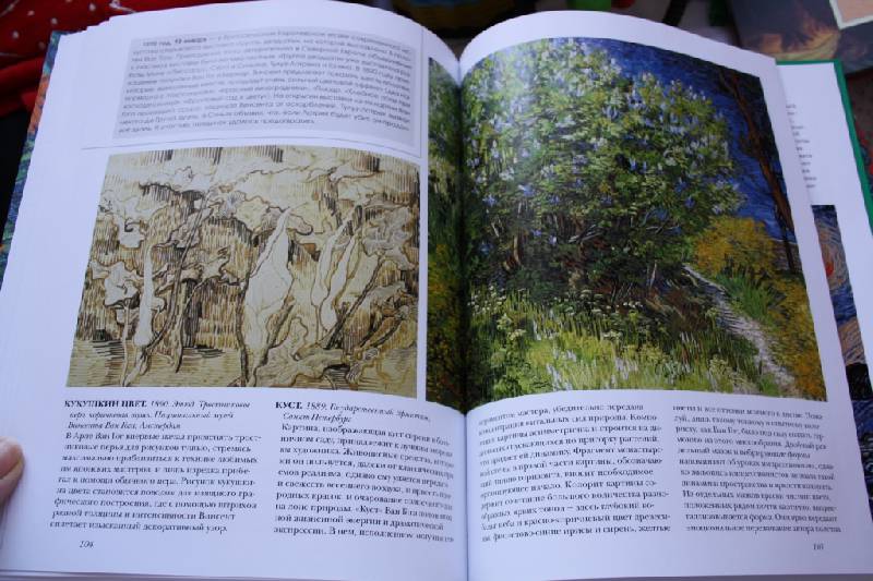 Иллюстрация 25 из 25 для Ван Гог - Ирина Осипова | Лабиринт - книги. Источник: Света2906