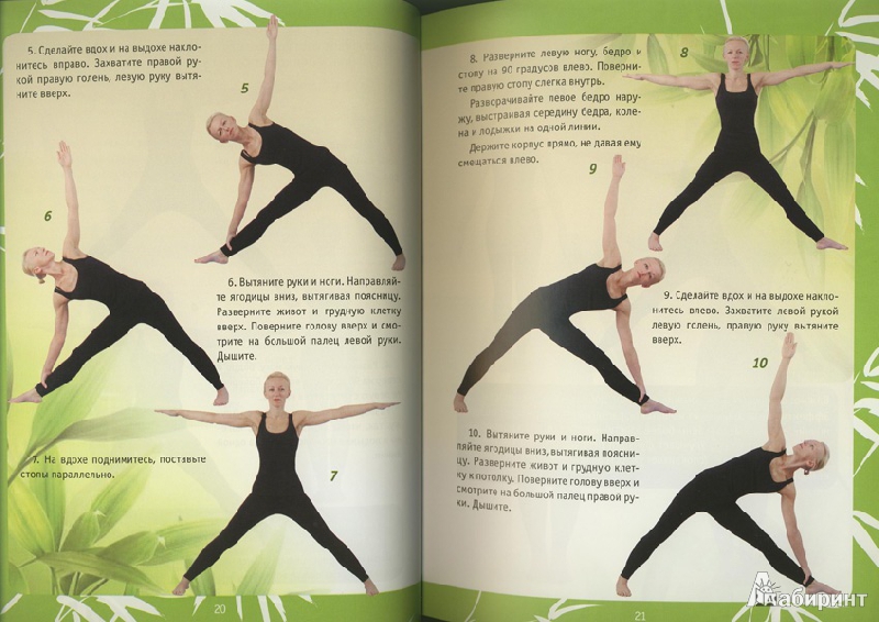 Иллюстрация 5 из 7 для Йога. Полный курс для начинающих (книга + DVD) - Ирина Шевцова | Лабиринт - книги. Источник: ЛиС-а