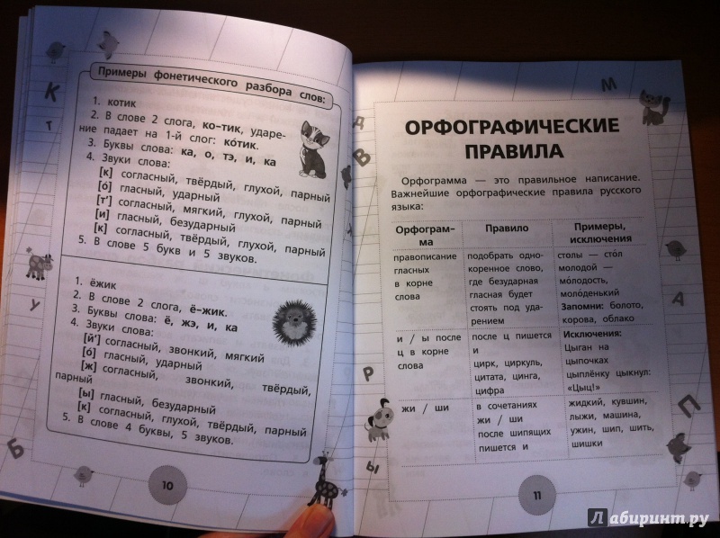 Иллюстрация 3 из 9 для Русский язык для начальной школы - Матвеев, Горбатова | Лабиринт - книги. Источник: milena583
