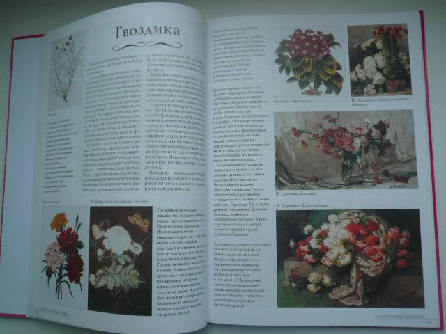 Иллюстрация 5 из 12 для Самые красивые цветы мира - А. Пантилеева | Лабиринт - книги. Источник: Nadezhda_S
