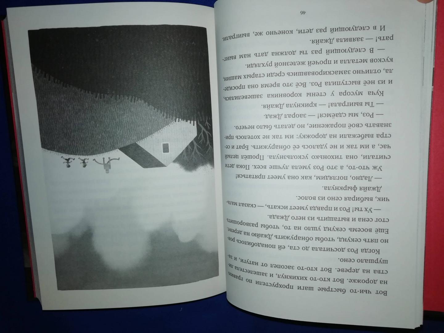 Иллюстрация 14 из 51 для Спасение дикого робота - Питер Браун | Лабиринт - книги. Источник: Счастливая мама