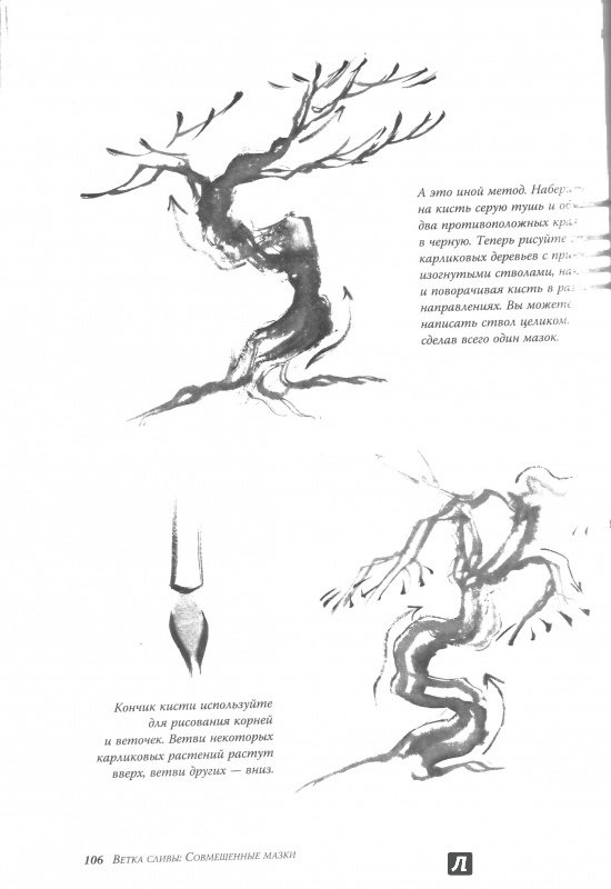 Иллюстрация 14 из 25 для Техника японской живописи суми-ё - Иоланда Мэйхолл | Лабиринт - книги. Источник: Дмитриева  Татьяна Юрьевна