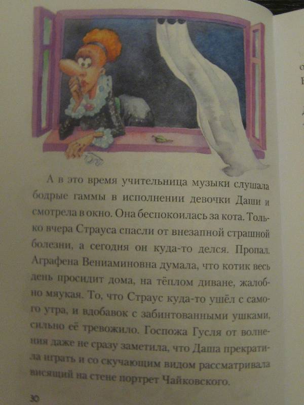 Иллюстрация 18 из 19 для Котовасия на каруселях - Евгения Малинкина | Лабиринт - книги. Источник: Ольга