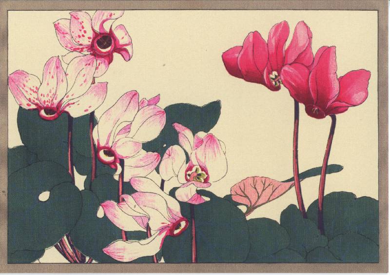 Иллюстрация 31 из 32 для Цветы Конана Танигами. На почтовых открытках | Лабиринт - сувениры. Источник: Anggva
