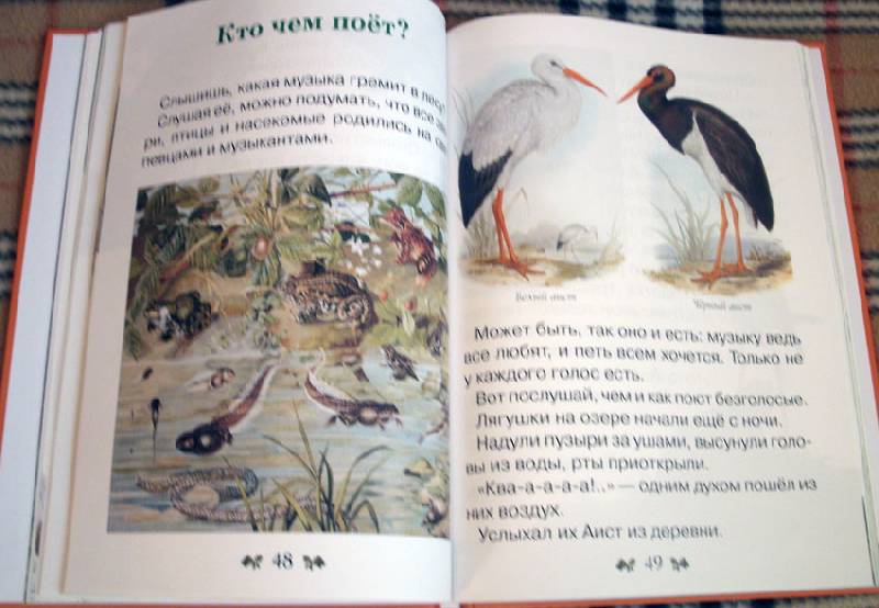 Иллюстрация 47 из 62 для Сказки и рассказы о животных - Виталий Бианки | Лабиринт - книги. Источник: Ёжик