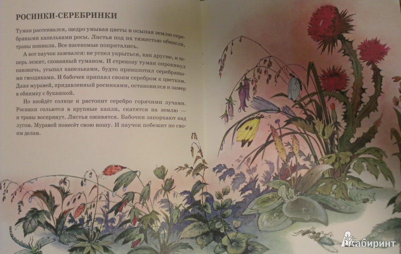 Иллюстрация 8 из 34 для Телеграмма - Анатолий Тумбасов | Лабиринт - книги. Источник: Katty