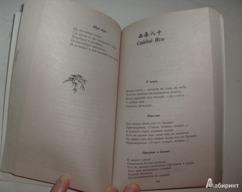 Иллюстрация 14 из 20 для Японская поэзия Серебряного века: Танка, хайку, киндайси | Лабиринт - книги. Источник: Olga O.