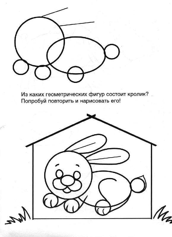 Иллюстрация 7 из 21 для Учусь рисовать. Домашние животные | Лабиринт - книги. Источник: OOlga