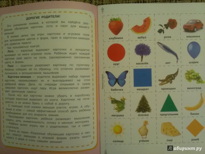 Иллюстрация 20 из 35 для Изучаем цвета и формы | Лабиринт - игрушки. Источник: SergP