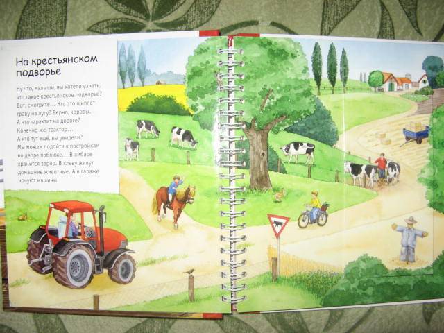 Иллюстрация 1 из 5 для Лето в деревне - Катя Райдер | Лабиринт - книги. Источник: libe