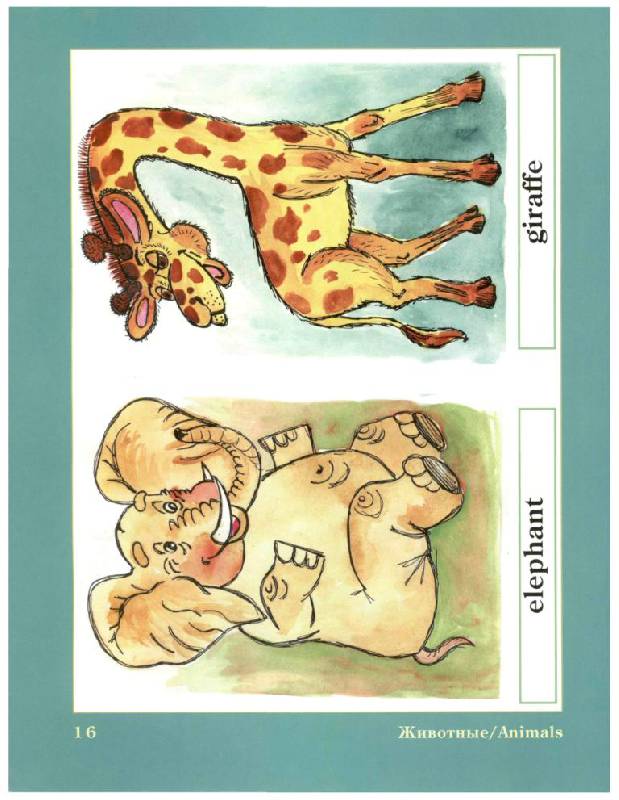 Иллюстрация 11 из 16 для Английский в картинках для самых маленьких - Юлия Кириллова | Лабиринт - книги. Источник: Юта