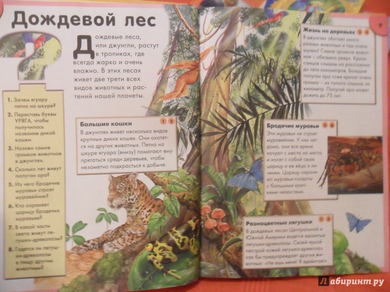 Иллюстрация 9 из 43 для Природа. Интерактивная энциклопедия | Лабиринт - книги. Источник: sleits