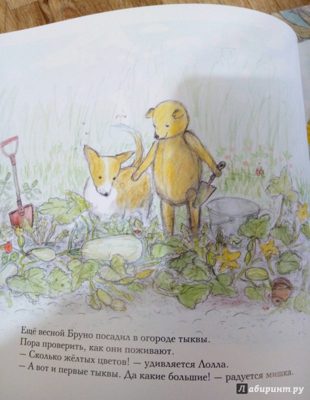 Иллюстрация 46 из 58 для Лето мишки Бруно - Гунилла Ингвес | Лабиринт - книги. Источник: Панина Елена