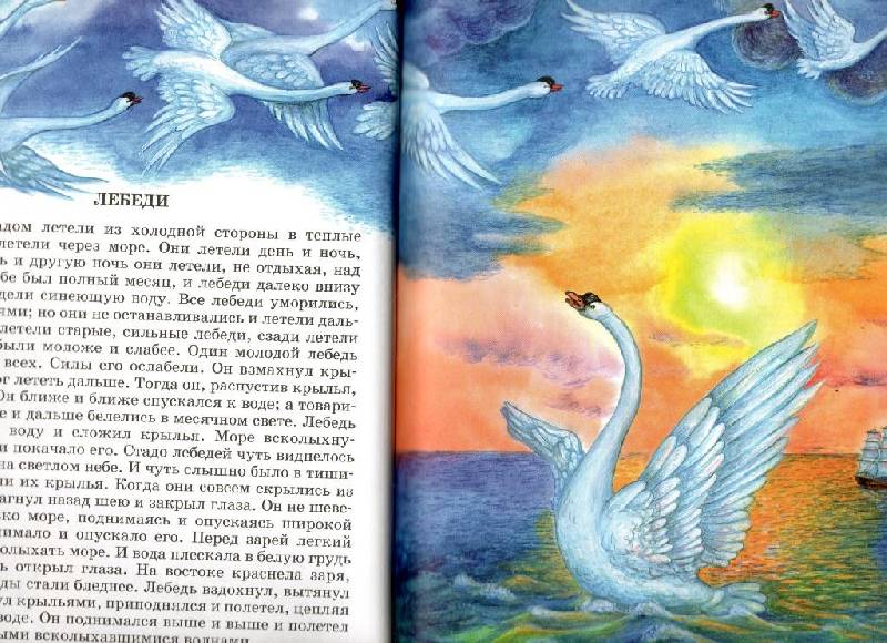Иллюстрация 21 из 36 для Детям - Лев Толстой | Лабиринт - книги. Источник: Zhanna
