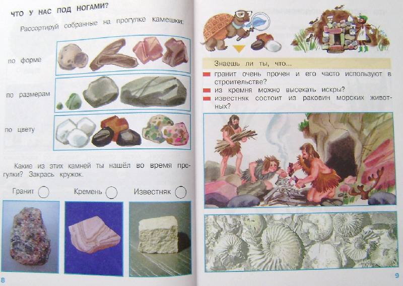 Лет, красивые открытки окружающий мир 1 класс