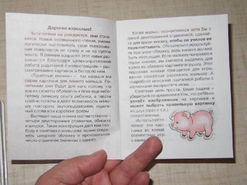 Иллюстрация 27 из 33 для Р-Р-Р-Р-Р-Р! (для детей до 2 лет + методичка) - Юлия Разенкова | Лабиринт - книги. Источник: Мурка