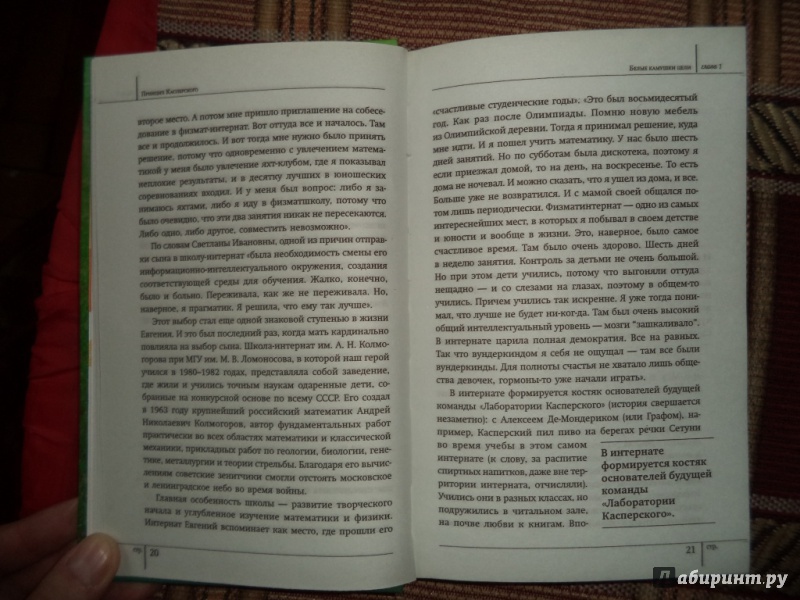 Иллюстрация 11 из 28 для Принцип Касперского - Владислав Дорофеев | Лабиринт - книги. Источник: Kirill  Badulin