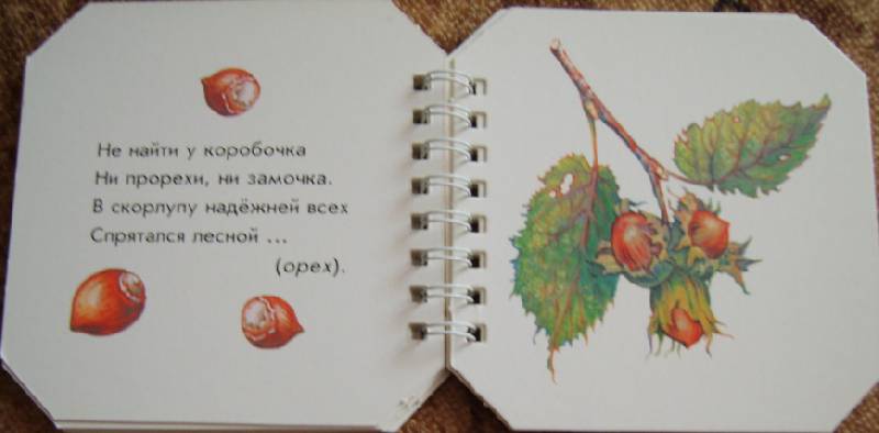 Иллюстрация 17 из 19 для Что в саду растёт - А. Геращенко | Лабиринт - книги. Источник: Tatka