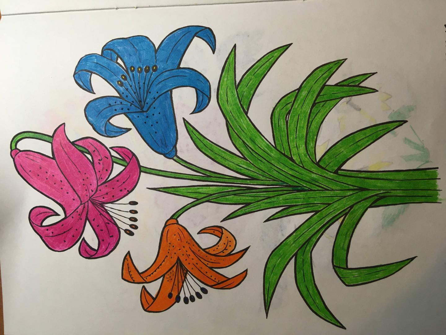 Иллюстрация 21 из 22 для Цветы и бабочки - Татьяна Коваль | Лабиринт - книги. Источник: Vasioero