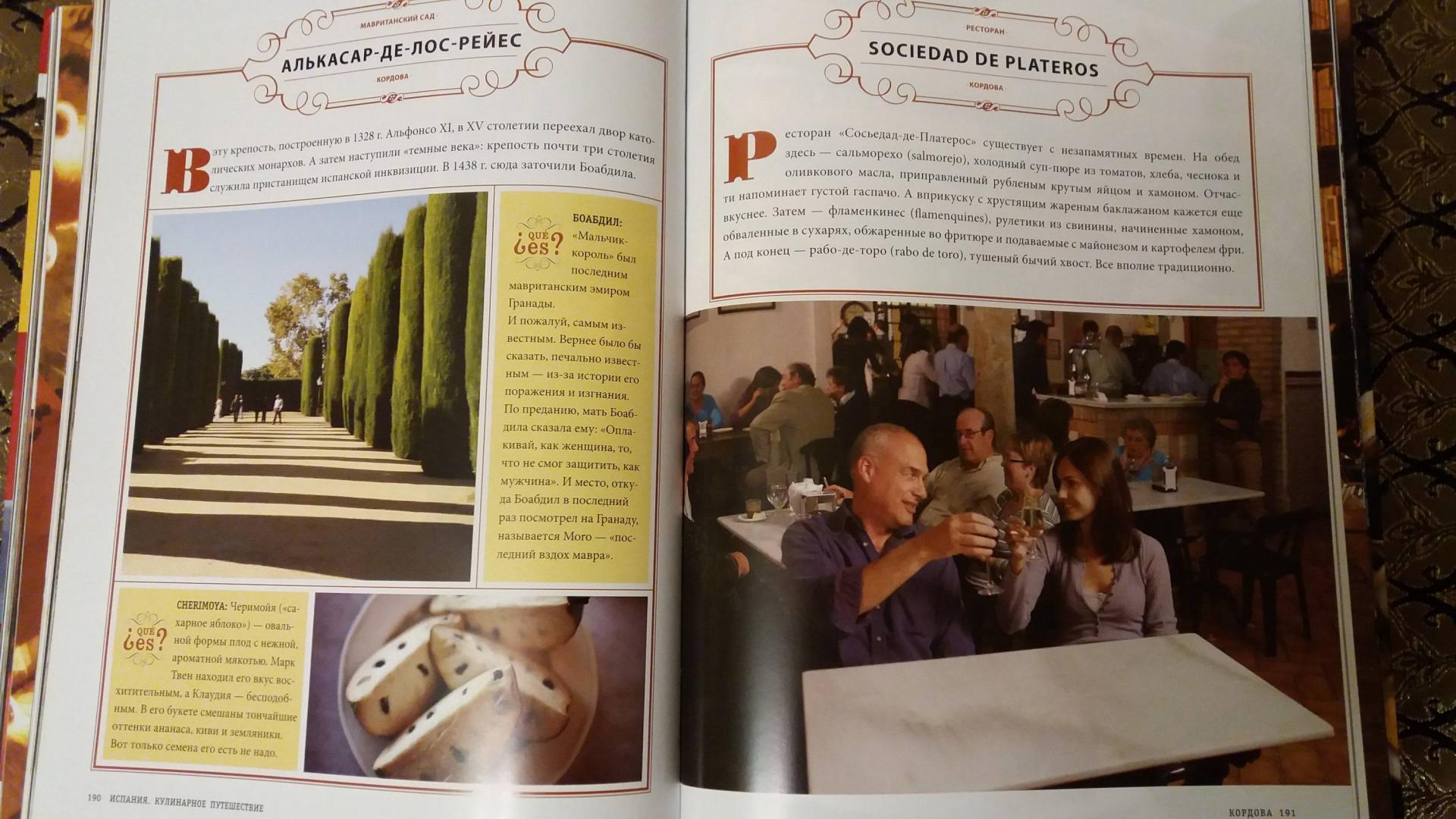 Иллюстрация 26 из 33 для Испания. Кулинарное путешествие. Марио Баталии в компании Гвинет Пэлтроу - Джулия Тершен | Лабиринт - книги. Источник: Дина