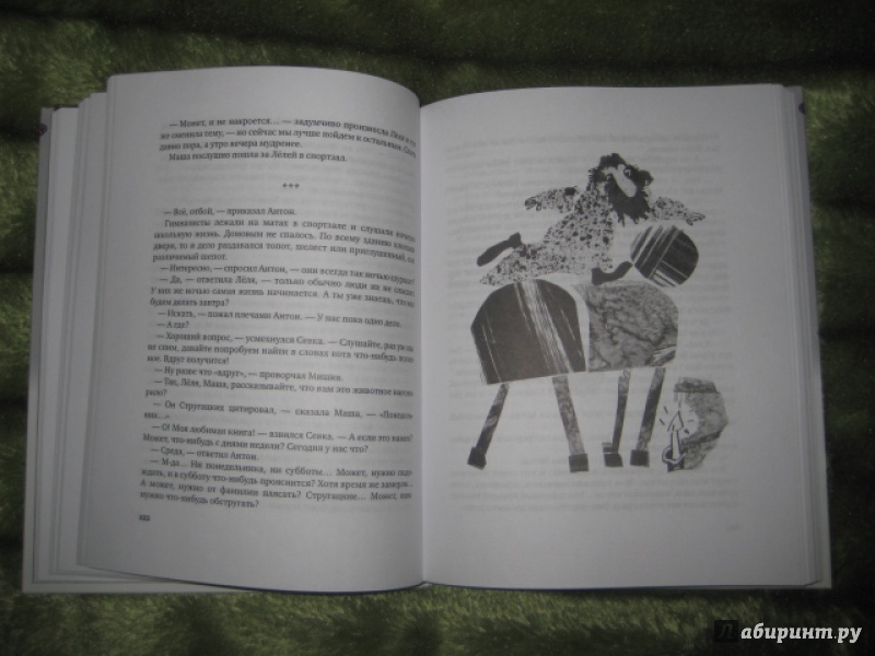 Иллюстрация 7 из 37 для Гимназия №13 - Жвалевский, Пастернак | Лабиринт - книги. Источник: Оксана Бельнова