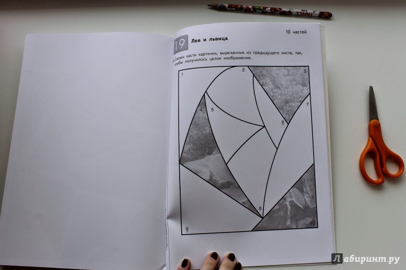 Иллюстрация 37 из 73 для KUMON. Учимся клеить. Пазлы-аппликации | Лабиринт - книги. Источник: Чабуткина  Алина