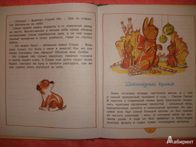 Иллюстрация 12 из 47 для Шоколадный кролик - Энид Блайтон | Лабиринт - книги. Источник: Сорокина  Лариса