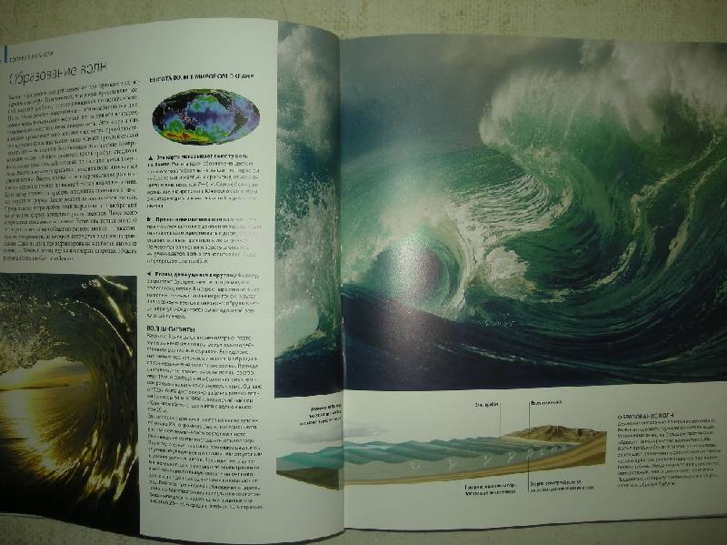 Иллюстрация 57 из 65 для Океаны - Хатчинсон, Хоукинс | Лабиринт - книги. Источник: Мартынова  Анна Владимировна